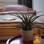 Apartman Moderne Am Rennsteig Zum Wohlfuehlen