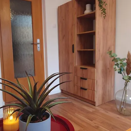 Moderne Am Rennsteig Zum Wohlfuehlen Apartment Masserberg