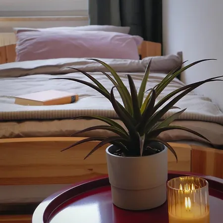 Apartment Moderne Am Rennsteig Zum Wohlfuehlen