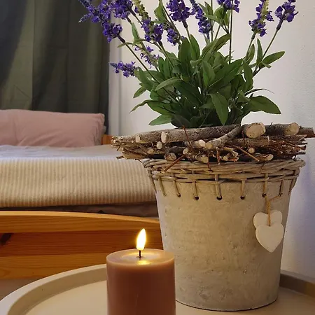 Apartment Moderne Am Rennsteig Zum Wohlfuehlen *