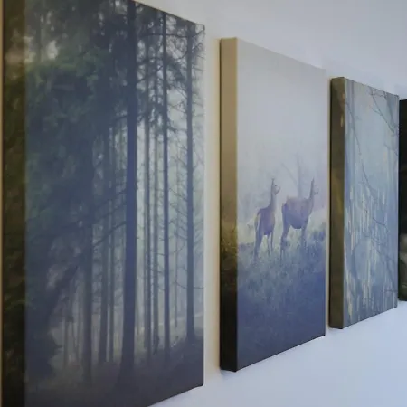 Appartement Moderne Am Rennsteig Zum Wohlfuehlen