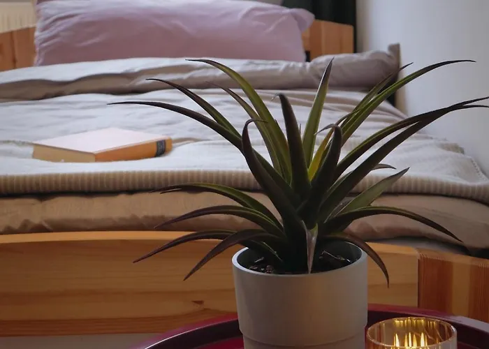 Appartement Moderne Am Rennsteig Zum Wohlfuehlen